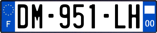 DM-951-LH