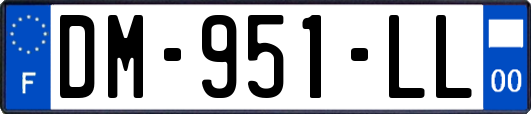 DM-951-LL