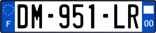 DM-951-LR