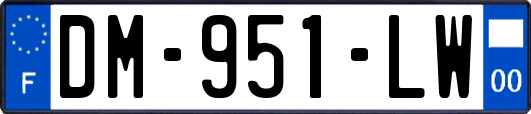 DM-951-LW