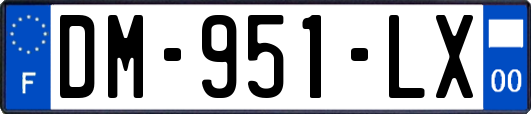 DM-951-LX