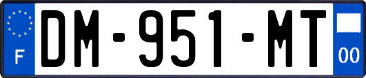 DM-951-MT