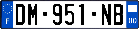 DM-951-NB