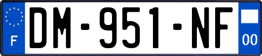 DM-951-NF