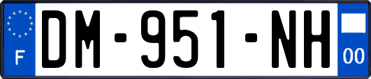 DM-951-NH