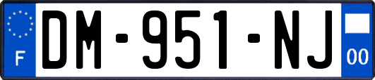 DM-951-NJ