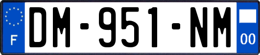 DM-951-NM