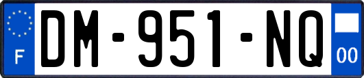 DM-951-NQ
