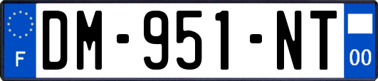 DM-951-NT