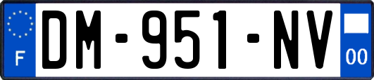 DM-951-NV