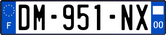 DM-951-NX