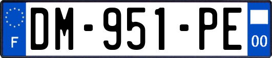 DM-951-PE