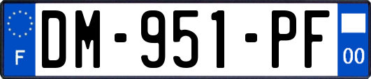 DM-951-PF