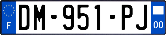 DM-951-PJ