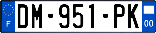 DM-951-PK