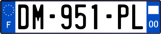 DM-951-PL