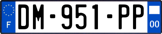 DM-951-PP
