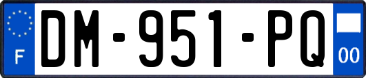 DM-951-PQ