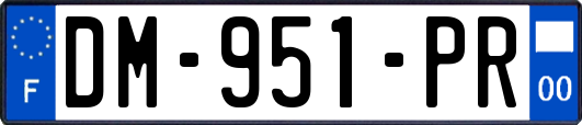 DM-951-PR