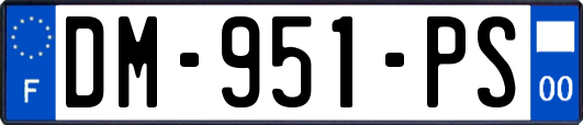DM-951-PS