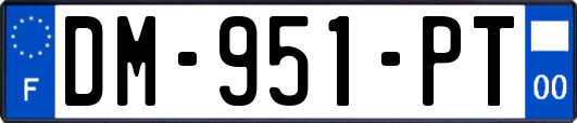 DM-951-PT