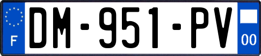 DM-951-PV