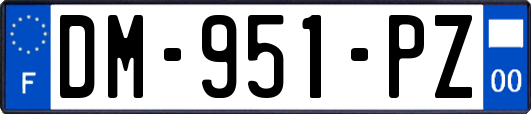 DM-951-PZ