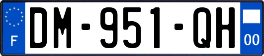 DM-951-QH