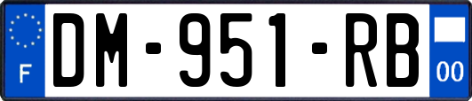DM-951-RB