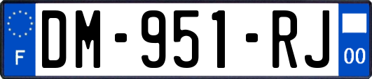 DM-951-RJ