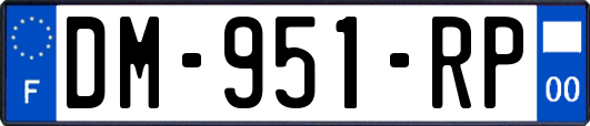 DM-951-RP