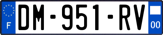 DM-951-RV