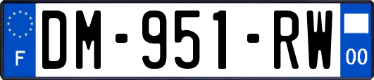 DM-951-RW