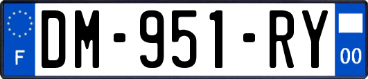 DM-951-RY