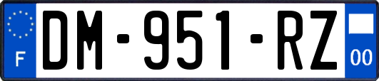 DM-951-RZ