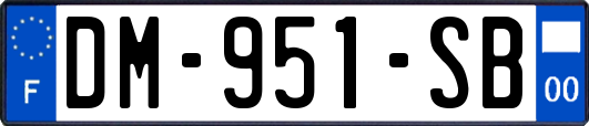 DM-951-SB