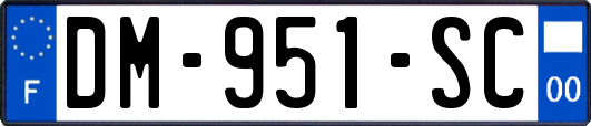 DM-951-SC