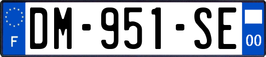 DM-951-SE