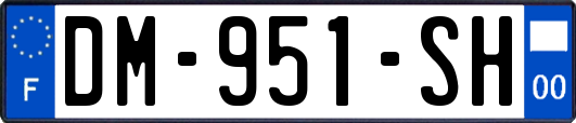 DM-951-SH