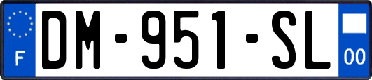 DM-951-SL