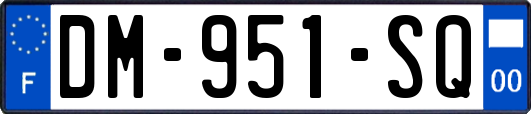 DM-951-SQ