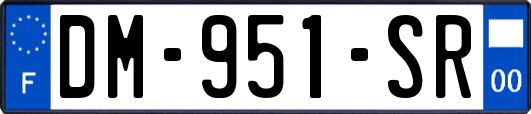 DM-951-SR