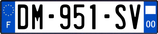 DM-951-SV
