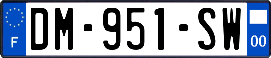 DM-951-SW