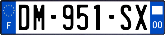 DM-951-SX