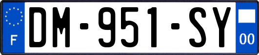 DM-951-SY