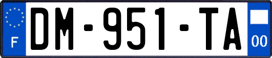 DM-951-TA