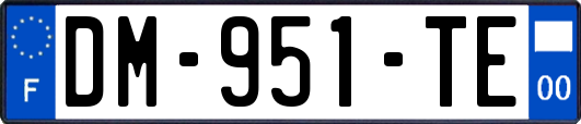 DM-951-TE