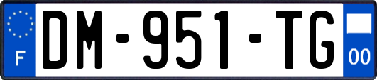 DM-951-TG