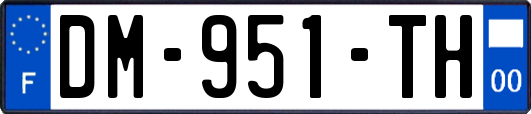 DM-951-TH
